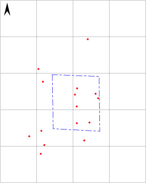 test pit C surface scatter