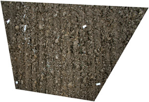 surface scatter rectified