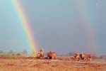rainbow over the quarry