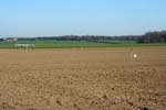 photo 0014: walking the field